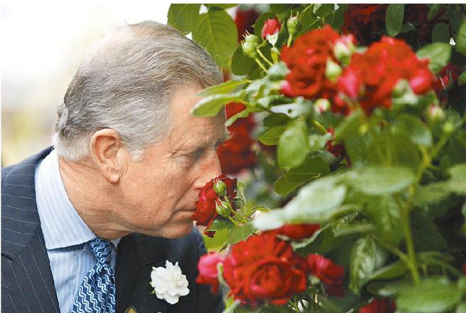 海格洛夫莊園是查爾斯三世鍾愛的住所。（圖／美聯社）