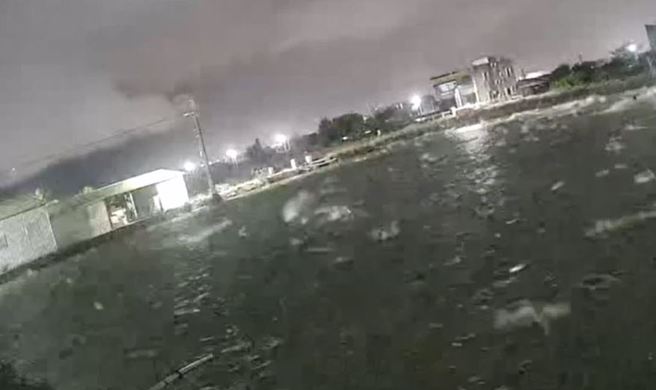 強震預告？地震前數千虱目魚「群魚亂跳」，躍出水面逃生畫面震憾。（翻攝自影片）