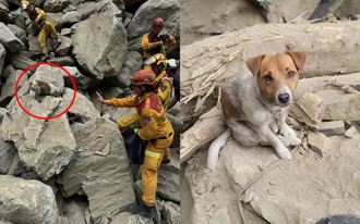 首出任务建功！花莲汪汪队Wilson 巨石缝寻获2罹难者