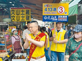 苗栗市、大武鄉長補選 三腳督拚陸戰