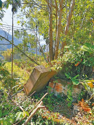 花莲强震波及 南投62校灾损 轻钢架位移 墙倒龟裂