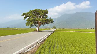 花莲大地震衝击 台东现退房潮