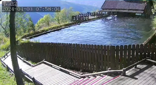 花蓮強震，雪霸「鏡頭君」捕捉到水池出現網狀格紋波浪，時間長達1分多鐘。（圖／雪管處）
