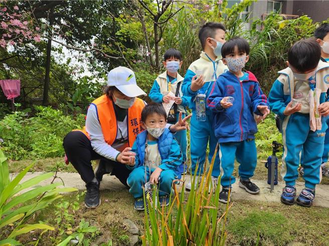 新北市树林区光兴里萤火虫復育成效极佳，今年已有多家幼儿园师生抢先体验野放萤火虫活动。（新北市树林区公所提供／刘玮晴新北传真）