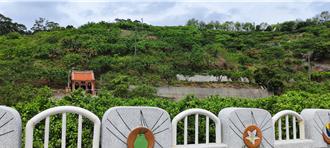 賞客庄初春風情 西湖鄉柚花藝術節6日熱鬧登場