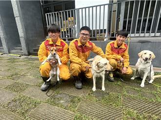 3搜救犬0403花蓮大地震初登場 牠靠靈敏嗅覺找到2罹難者