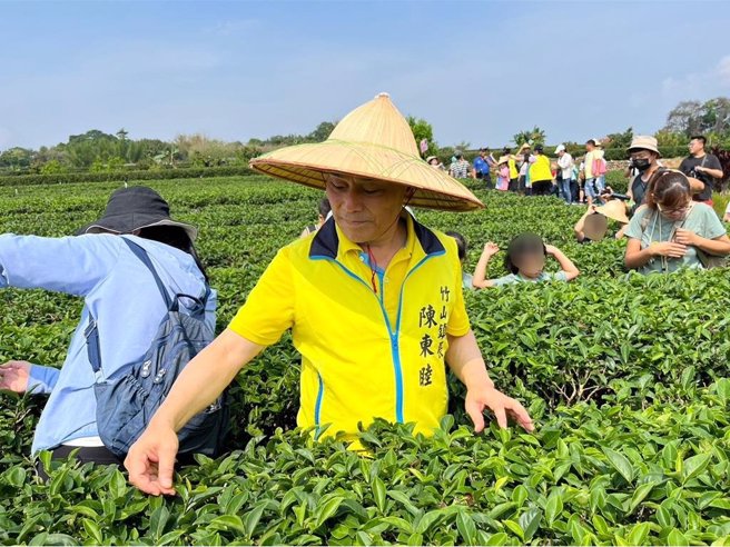 竹山鎮公所舉辦茶言觀色農樂趣活動，透過採茶、揉茶、品茶等體驗，讓學童們了解在地茶文化與食農教育。（竹山鎮公所提供／馮惠宜南投傳真）