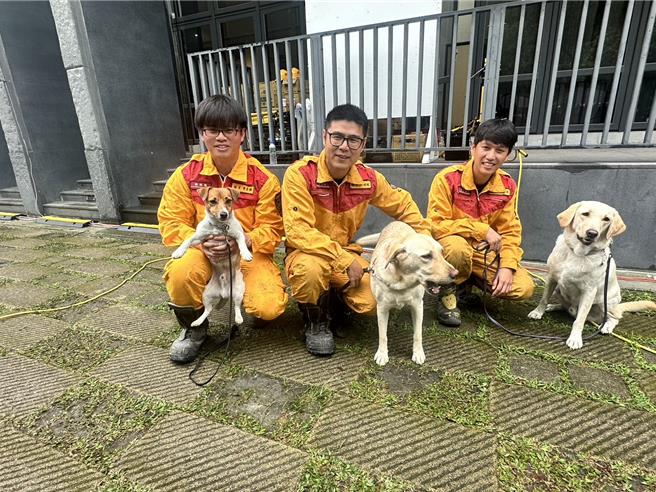 花蓮縣消防局自3年前起培訓3隻搜救犬，品種為2隻拉布拉多跟1隻傑克羅素，名字為Hero（右）、Fancy（中）跟Wilason（左）。（羅亦晽攝）