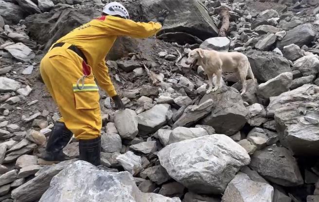 搜救犬罗杰最后在一处石堆停留，搜救人员前往发现罹难的胡女。（翻摄照片／洪靖宜高雄传真）