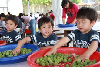 清明连假／踏青游新北 老街文艺活动乐无疆