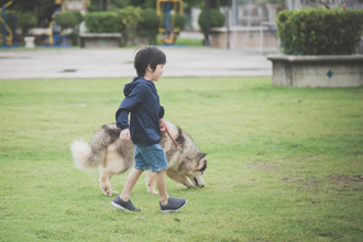 男孩遛狗撿超髒金屬 大英博物館鑑定 揭尊貴身分