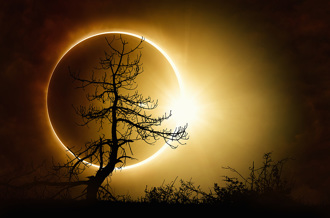 周二天狗吞日！3生肖要避災 屬豬小心理財