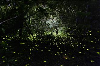 桃市復興區農特產季 憂地震影響觀光