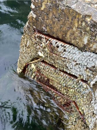 基隆海興泳池晨泳踩到鐵釘！市府：立即找廠商處理