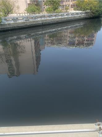 清明連假台南運河水遭「染黑」？ 檢測原因出爐