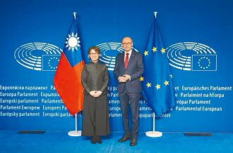 綠轟陸戰狼惡劣 藍指國安保護不足