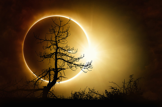 命理老師提醒，「天狗吞日」是凶兆，生肖豬、羊、蛇要小心謹慎。(圖:shutterstock/達志)