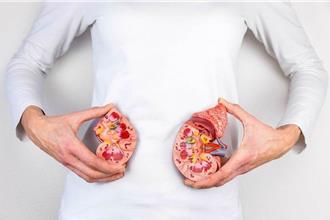 獨》傷腎食品讓人心慌慌 腎臟醫、營養師給最佳建議