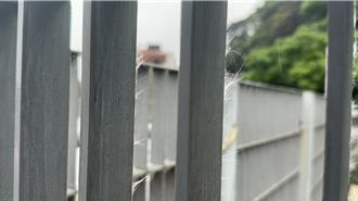 蔣偉文遊海科館靠個欄杆「手臂腫起來」竟是它釀禍