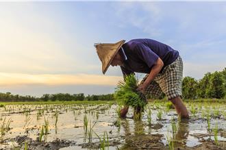 竹縣府補助農保自付額 900萬紅包匯入逾9千名農民受惠