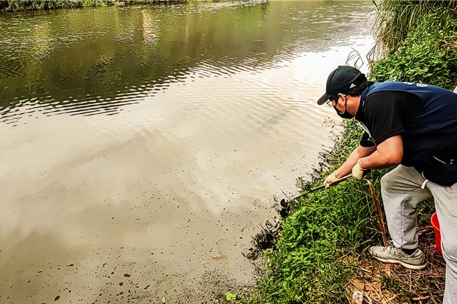 关西镇渡船头桥附近凤山溪4日出现油污，环保局派员到场取样，检测ph7.72，水温27.6度，COD试剂无明显异常，无挥发性异味。（新竹县环保局提供／罗浚滨新竹传真）