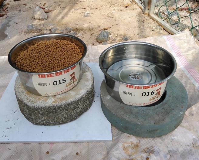 台北市动保处透过TNVR设置诱捕环境。（台北市产发局提供／刘玮晴台北传真）