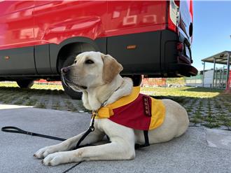 台東縣刊超萌！認識台東搜救犬及貓站長的故事