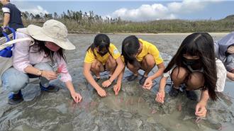 澎湖师生动手种海草 增加碳匯挹注渔业资源