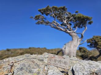 山友硬闖嘉明湖玉山圓柏圍籬 粉專小編怒轟「不識字」
