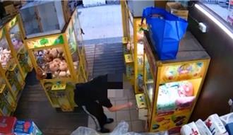 12台娃娃機接連遭竊 18歲男缺錢花用終被逮