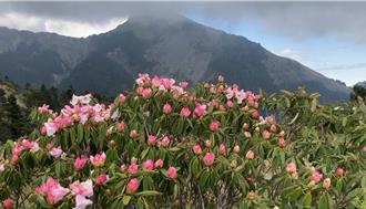 花蓮強震太魯閣持續封園 合歡山群峰能否賞花11日揭曉