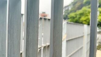 基隆 海科館欄杆惹禍 藝人皮膚紅腫痛