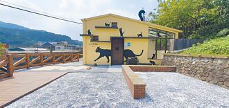 友善動物好所在 猴硐貓村迎新裝