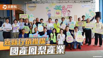 品觀點｜金鑽鳳梨盛產 嘉縣推全新研發鳳梨米冰棒