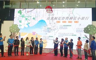 迎接雪白桐花季 苗縣攜手5鄉鎮推賞桐小旅行