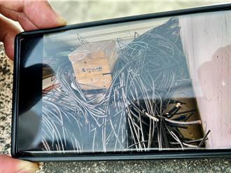 投資冷凍倉儲工廠沾一身腥 台南商人怒控警「這件事」