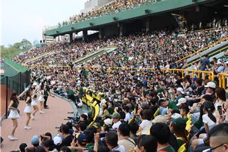 澄清湖棒球場熱議 高市府：爭取經費與台鋼研商優化方案