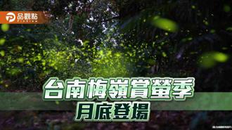 品觀點｜台南梅嶺賞螢季27日登場 結合小農市集重現台灣燈會