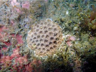 寶盛水族生態遊樂區案 環境部：6月底前補件後再審