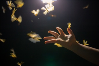 《寄生兽：灰色部队》片尾藏惊喜！网友敲碗「第二季」