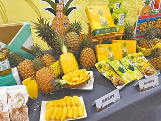 努力8年 台灣鳳梨將銷紐西蘭