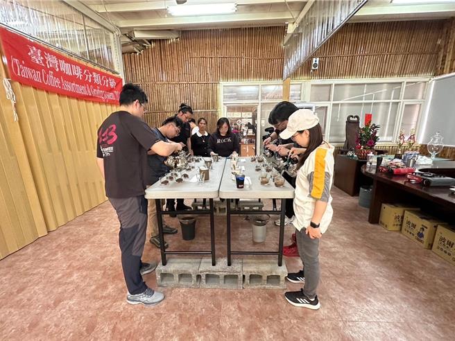2024歐韻盃精品咖啡生豆交流賽評審評鑑杯測現況。（茶改場提供／蔡明亘桃園傳真）