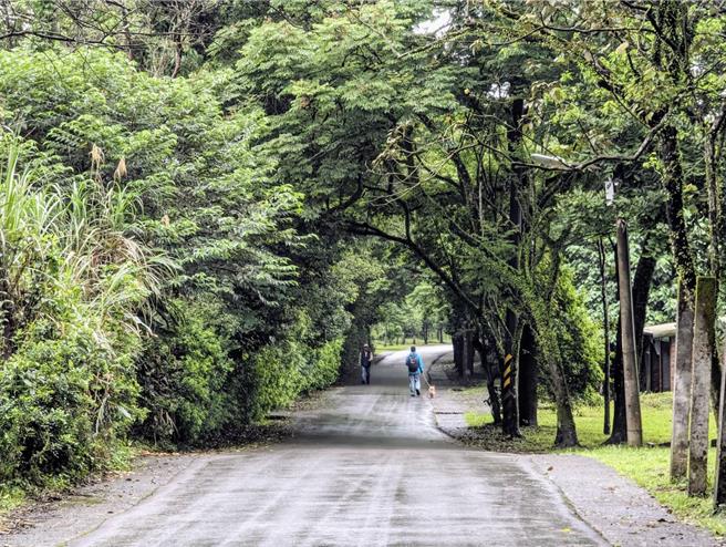 基隆市文化基金会打算在4月27日、28日两天，在暖暖区水源路旁的锤球场举办赏萤系列活动。但遭前立委及议员等人痛批，认为可能会对生态及萤火虫保育造成衝击。（张志康摄）