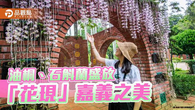 嘉義桐花祭幸福山丘登場，石斛蘭花瀑嘉義公園驚艷現身。（圖／嘉義市觀光新聞處）