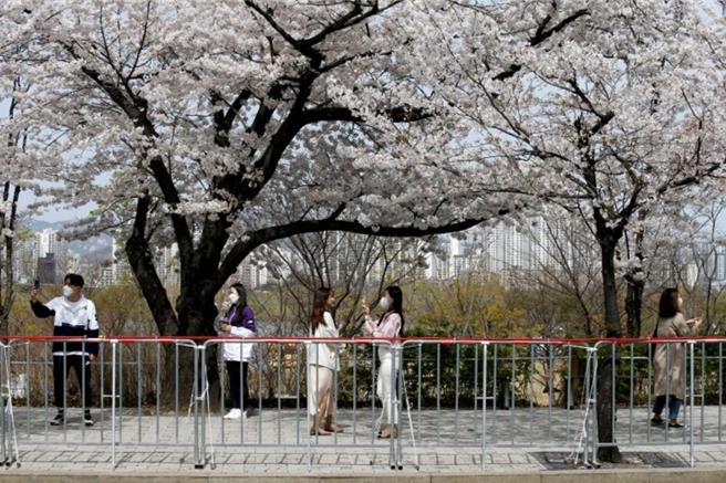 韓國首爾街上的女性（圖／路透社）