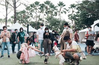 營造人寵好「伴bàn」寵物友善購物遊程 周末夢時代登場