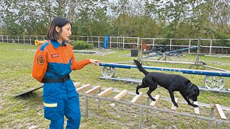狗狗想當搜救犬 須愛吃又愛玩
