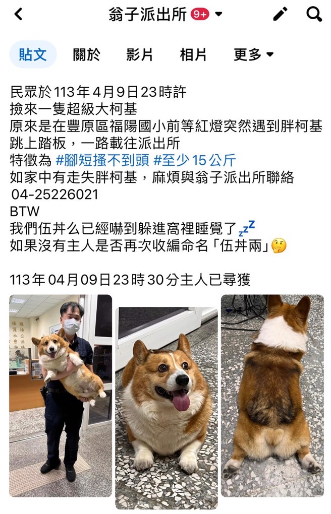 員警透過網路社群力量，不到半小時的時間，就順利找到飼主帶回。(葉庭欣/翻攝)