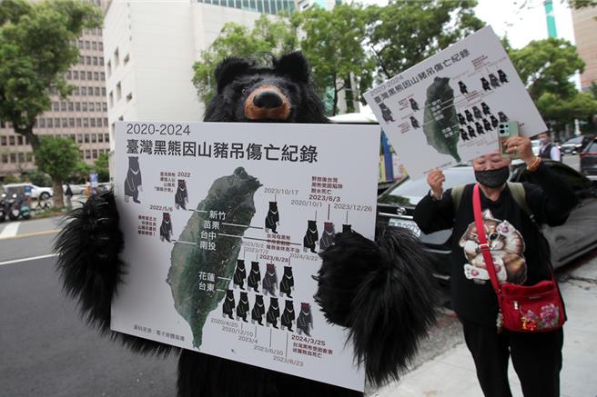 包括台湾动物共生联盟等20个动保团体11日赴立法院陈情，呼吁朝野立委针对《野生动物保育法》修法过程，除了全面禁止使用兽铗外，应包含更具杀伤力，俗称「山猪吊」的金属套索陷阱等猎具，也要禁止持有、贩售、制造、陈列及输出入等，并增列禁止电商贩售平台条款，保障野生动物生存权。动保团体成员穿上黑熊装，为500只珍贵的保育类动物台湾黑熊请命。（黄世麒摄）