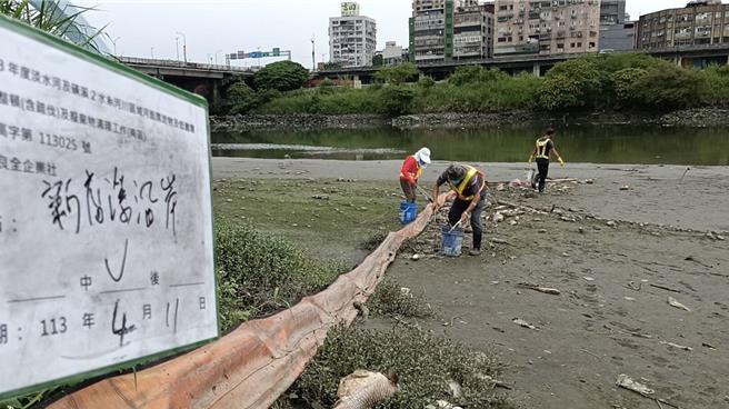 死魚發生情形最常見的包括水環境溫度急遽變化、連日下雨或無雨、水中污染濃度高及夜間微生物耗氧反應。（新北市環保局提供）
